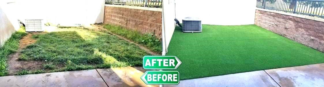 Synthetic Urine Results Regis Denver CO